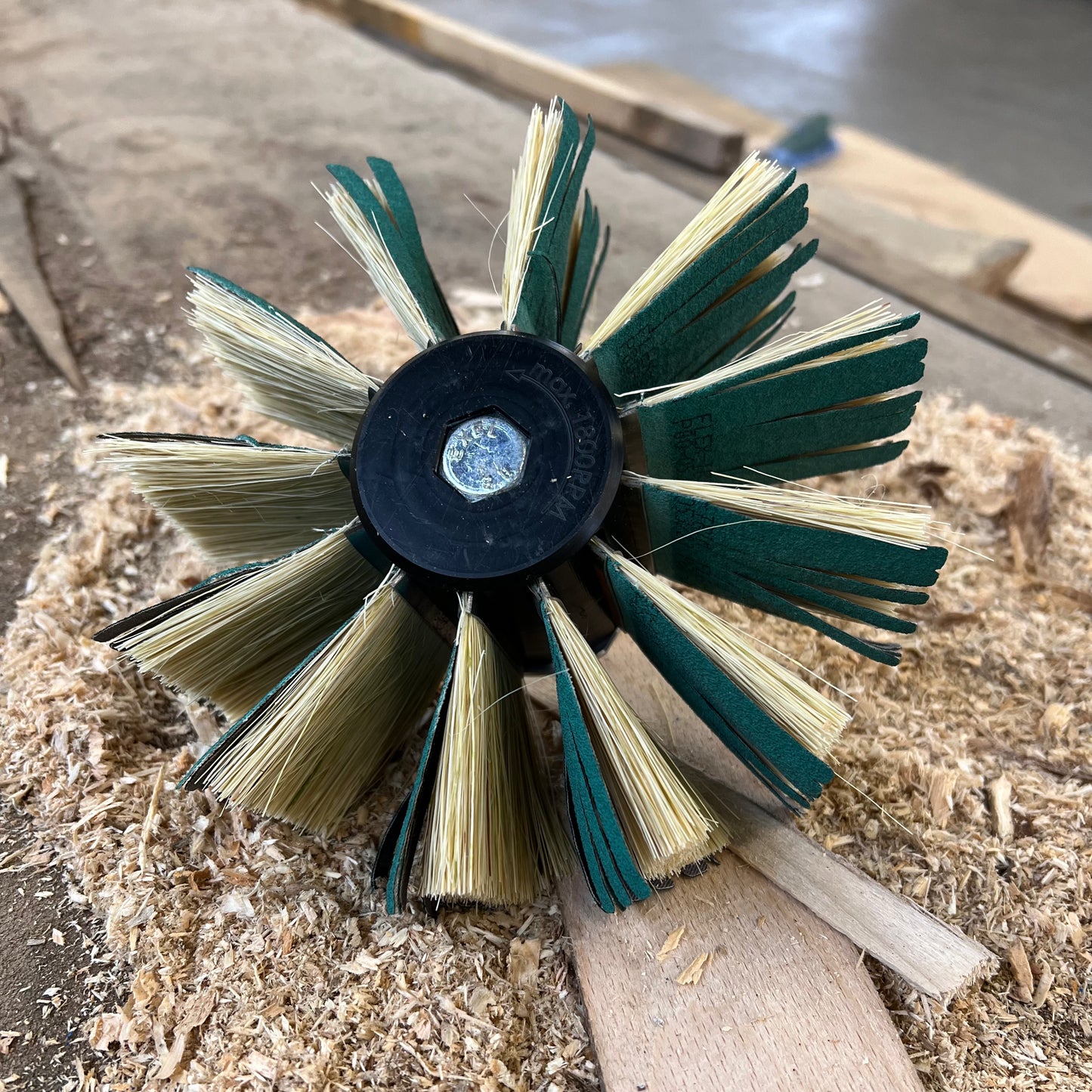 Schleifstern Premium