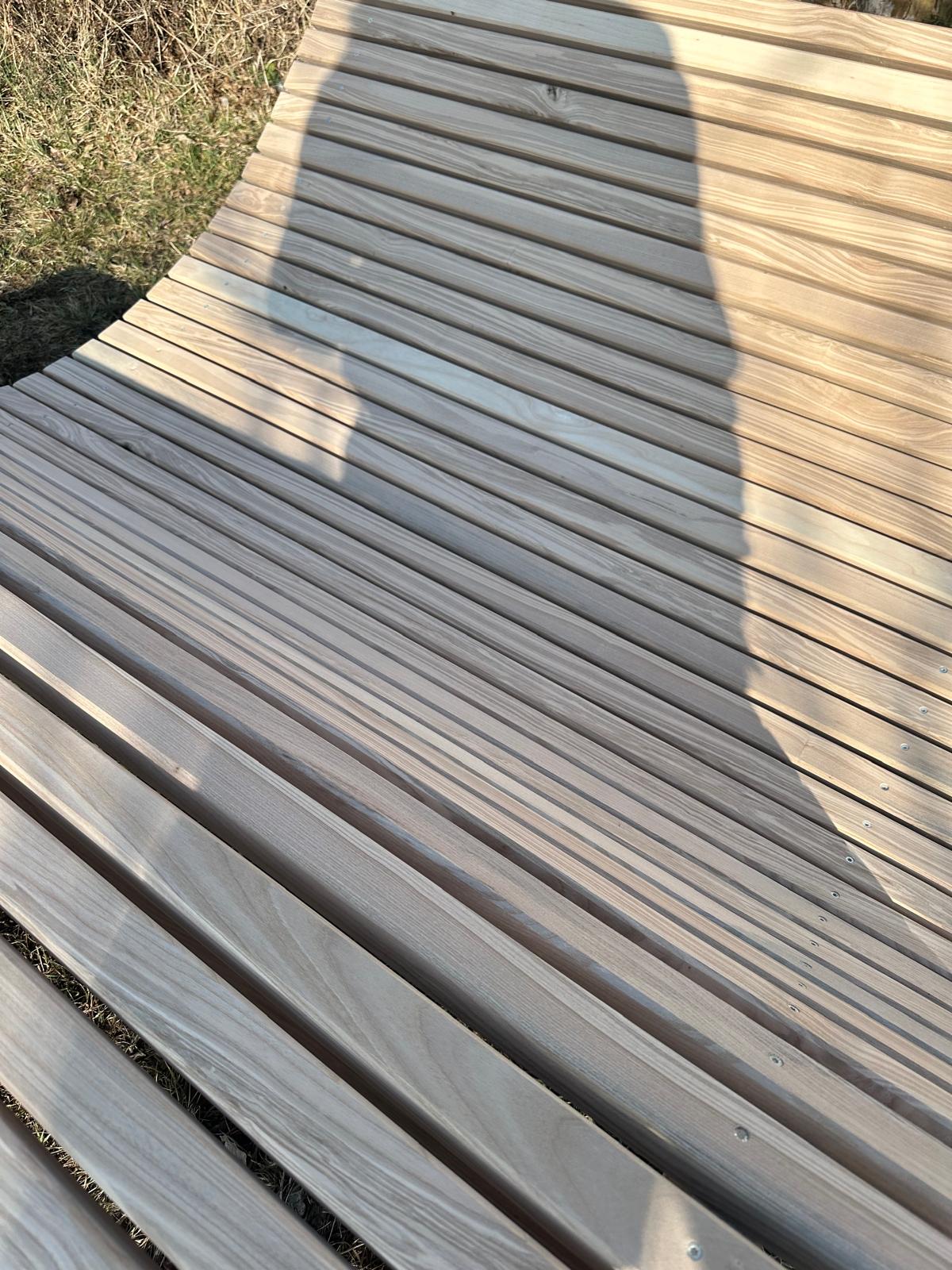 EschenBogen Duo Wippliege