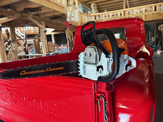 Carving-Säge STIHL MS 231 | Cannon Schiene