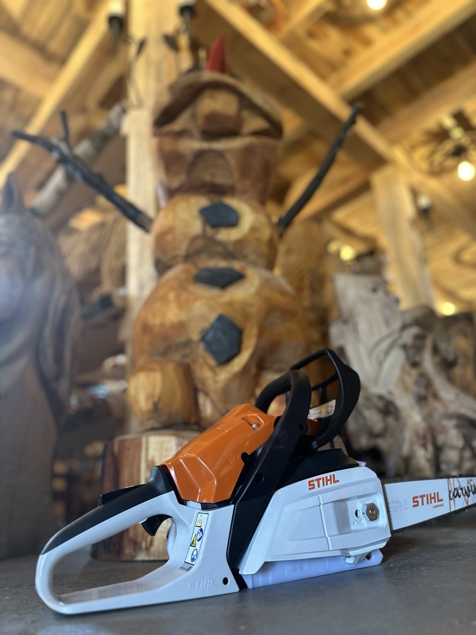 Carving-Säge STIHL MS 162