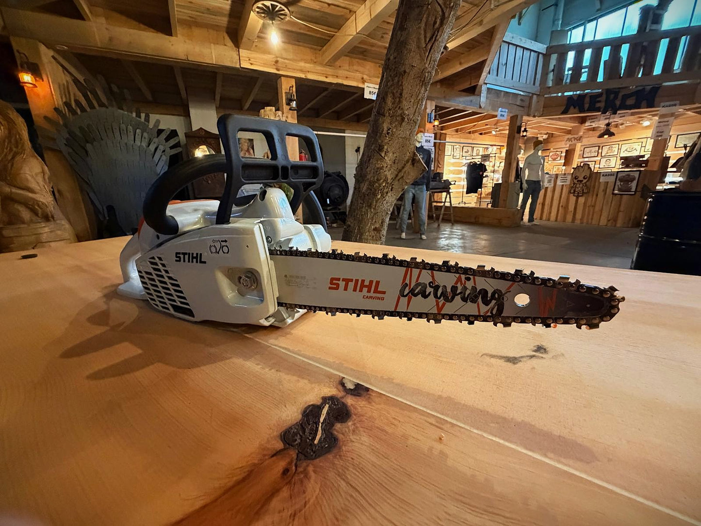 Carving-Säge STIHL MS 194 C-E | Cannon Schiene